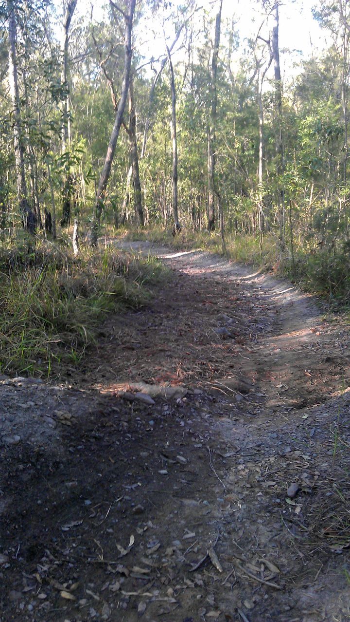 Park Repair